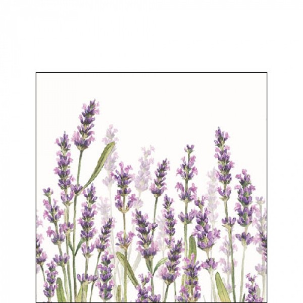 TOVAGLIOLO AMBIENTE CM.25X25 LAVENDER SHADES WHITE ART.12515985