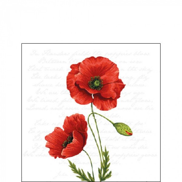 TOVAGLIOLO AMBIENTE CM.25X25 PROUD POPPY ART.12516120
