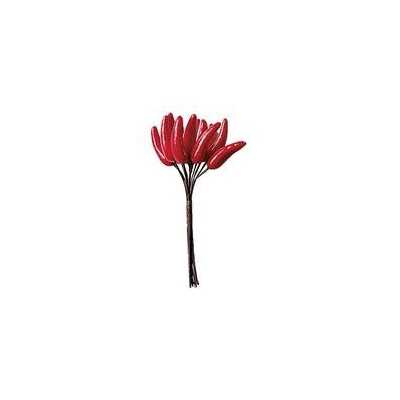 PICK W/12 CHILLIES H12 CM