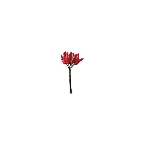 PICK W/12 CHILLIES H12 CM