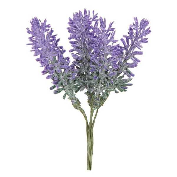 PICK W/6 LAVENDERS CM12XH16
