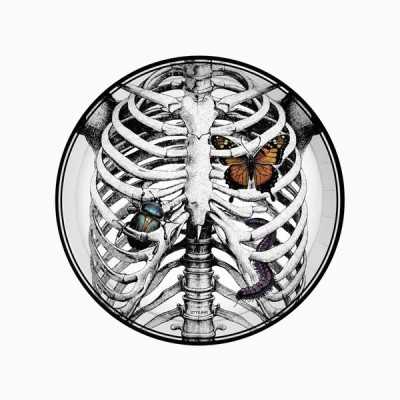 Piatti Halloween 23cm scheletro6pz