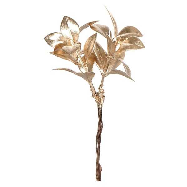 LEAVES PICKS CM10XH12 CHAMPAGNE